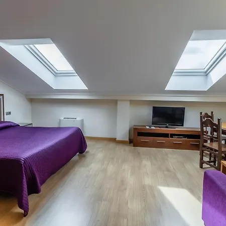 Apartamento & Santo Domingo De Silos